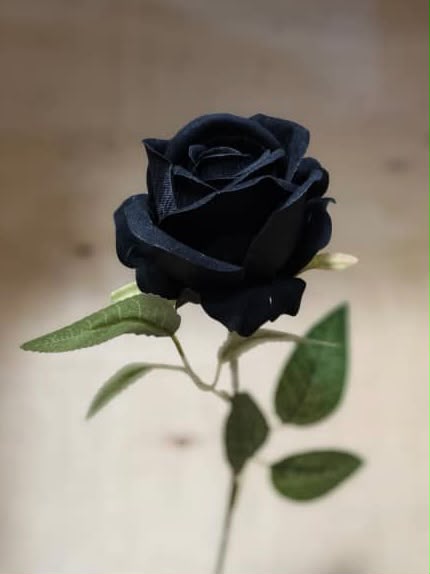ورد جوري مفرد 