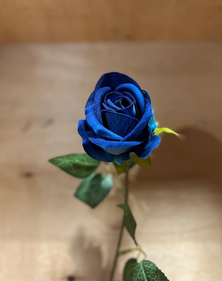 ورد جوري مفرد 